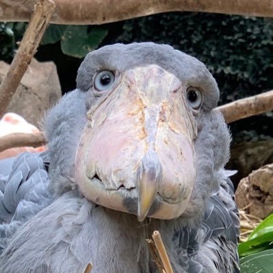 waterworksfan's profile picture. 仕事、 お金、 名声 (priv acc)