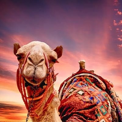 umarbnb01's profile picture. work