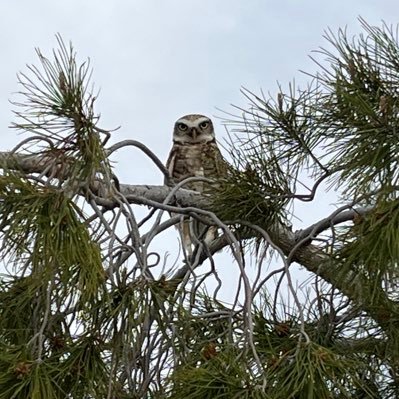 McGilliv7's profile picture. 