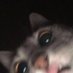 Niku (@nikunrs) Twitter profile photo Niku (@nikunrs) Twitter profile photo
