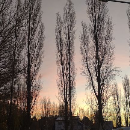 valgerfa883's profile picture. 