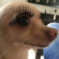 :Ceylin (@_m3rzyy_) 's Twitter Profile Photo :Ceylin (@_m3rzyy_) 's Twitter Profile Photo