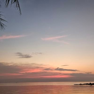 agromanus's profile picture. No Nocoiner.
https://t.co/tUQfA2Tcu1 | https://t.co/p1xJH8asoI | https://t.co/enLRoq6O0z