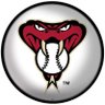 AZ_Angry_Panda's profile picture. go D-backs