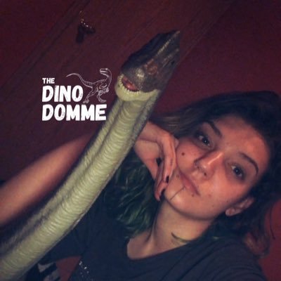 DinoDomme