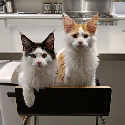 voteyes180914's profile picture. 