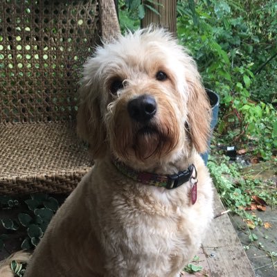 stacyclayditty's profile picture. Smile :)