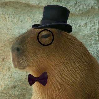 itsybitsybat's profile picture. 🍔Black Screenwriter & Artist 
💌 Email: dwalkerprofessional@gmail.com