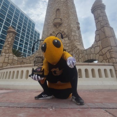 Official Twitter of Georgia Tech's lady killer, Buzz! Go Jackets, Sting 'Em!