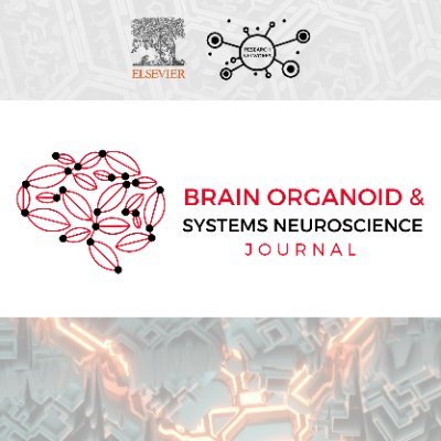 Brain Organoid and Systems Neuroscience Journal