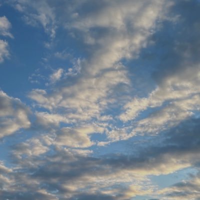 evenplok's profile picture. ...