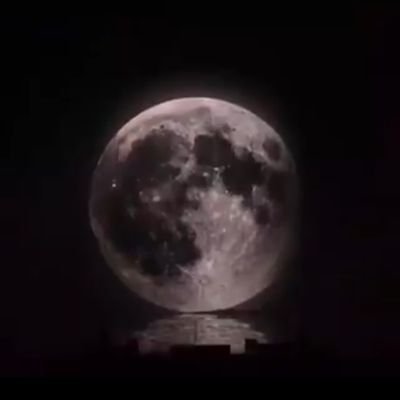 BlueberrieASTRO's profile picture. 💜ASTRO💜 IS MY TOP PRIORITY. Met ASTRO in Taipei/BKK/VN/SEOUL and gonna grab another chance soon