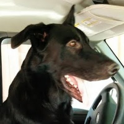 ElizabethW32664's profile picture. 