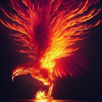 JACKMED50's profile picture. 