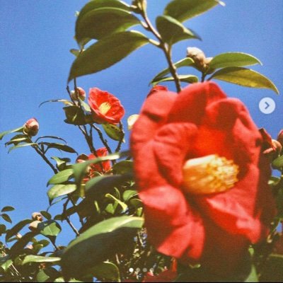 Clownbaby01's profile picture. 