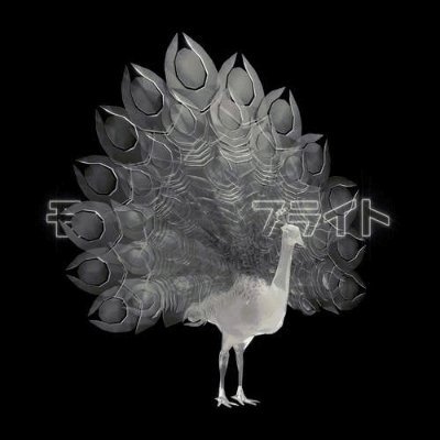 Nft67Club's profile picture. I have been bright fire breathing apparatus of delicacy of casting its.