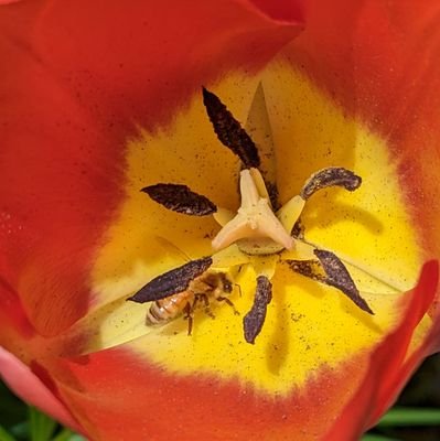 MeghannGerfen's profile picture. 