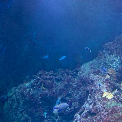 seriousproblem_'s profile picture. 