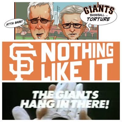 SF Giants, GSW, SF 49ers, NASCAR, #3, #8, Raise Hell Praise Dale, Torture is sublime, Baseball belongs in Oakland and that team should be the A’s, Go Sharks