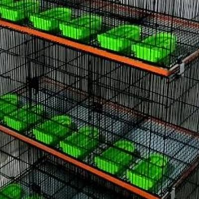 bakardesign1's profile picture. 