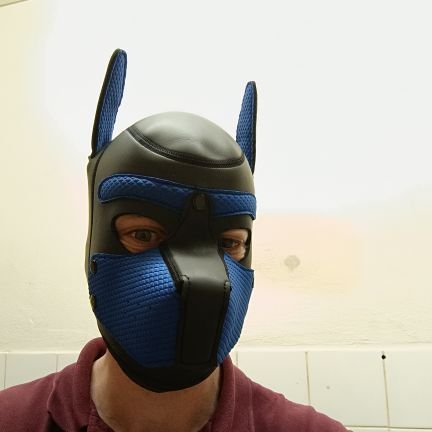 Jenda2445550721's profile picture. kluk na lesklé oblečení, pláštěnky, Skejt hadry, boty