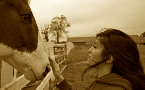 MCarpinelli's profile picture. Social Work Student, Feminist, Animal Lover, Equestrian, Runner, Foodie