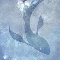 まこと (@makotoonxx) 's Twitter Profile