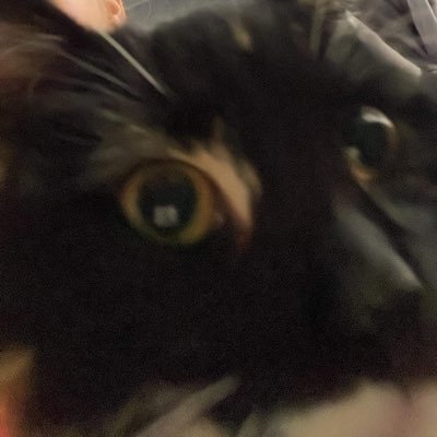 zaaysmile's profile picture. you better run from me before i take your soul