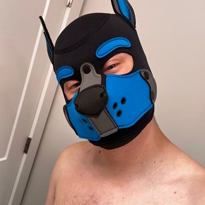 PupTables's profile picture. 🔞🏳️‍🌈🐶 He/him, 25, 👀 puppy pals