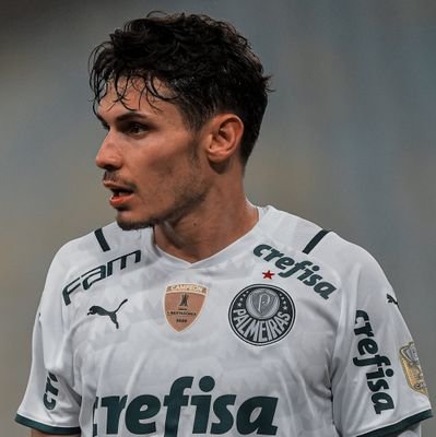 O nome é autoexplicativo: Irei postar um icon do Palmeiras por dia. (Vou tentar, pelo menos) | Adm: @RV23Lenda