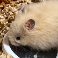 ＡＡ (@ki48559541a) 's Twitter Profile