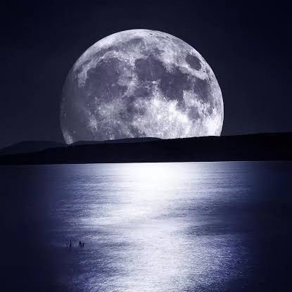 william62917244's profile picture. 