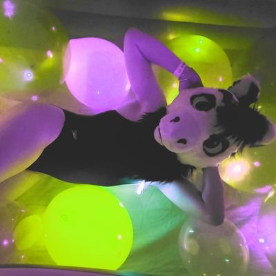 Sheeshbajeesh's profile picture. 30's, Professional Horse 🐴
Musician, Pharmacy Technician, Student of Veterinary Medicine, Farrier, Cyclist, Vegetarian, corpulent neighs! ⚕️

✂️: @makedasoot