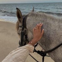 𝐀 (@a1axm) 's Twitter Profile