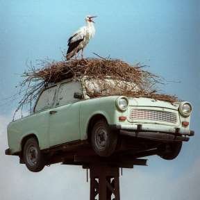 Just an 'old Bird', trying to become a  'Mighty Eagle' !