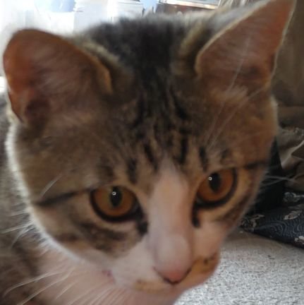 TjOVbIHzQnHBffw's profile picture. 