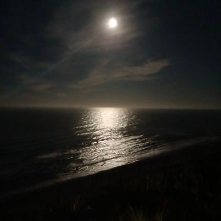 neosab13's profile picture. persona normal y hincha del gran Audax Italiano #vamosChile #audax