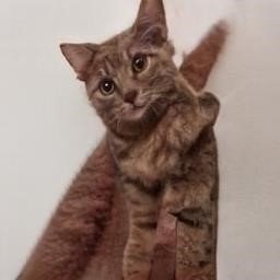 HenryMi05112705's profile picture. #followback #взаимно #взаимныйфолловинг