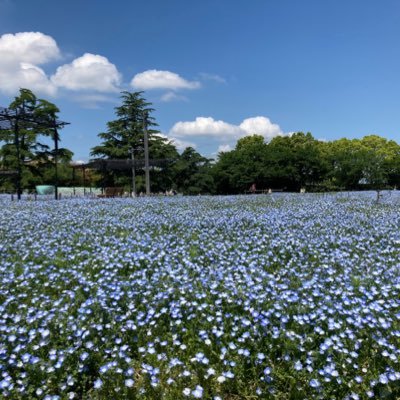 kmkmkts's profile picture. 