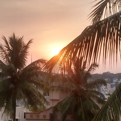 pshet638's profile picture. 