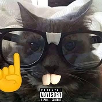 un_random954's profile picture. 