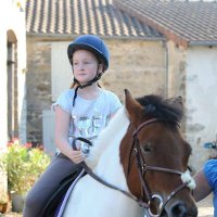 Marco Gutkowski (@marcogutko67008) 's Twitter Profile