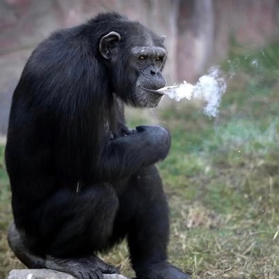 beastmodeit212's profile picture. 