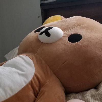 Anastasia's House Nowさんのプロフィール画像