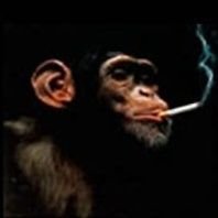 jt_awesome2's profile picture. 🦧