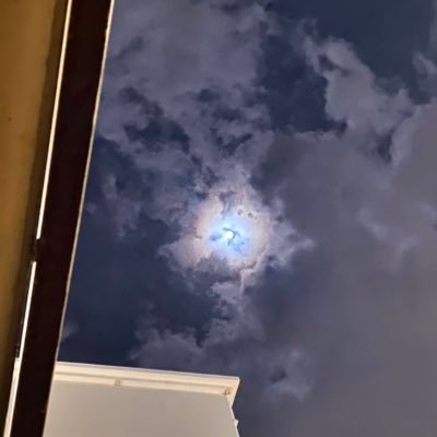 nzoii's profile picture. -