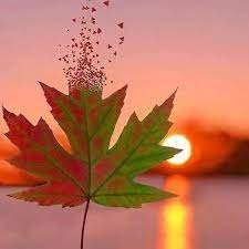 MelindaLee70918's profile picture. 