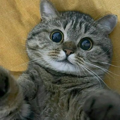 وألقِ السَكيِنة عليّ
أنا وقلبي
https://t.co/sW34O05gfh