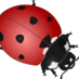 metodicar (@metodicar) Twitter profile photo metodicar (@metodicar) Twitter profile photo