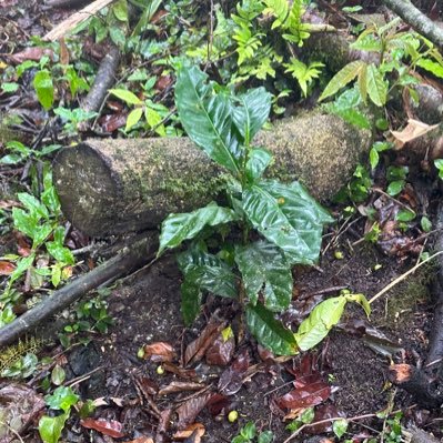 JoseMon73159282's profile picture. 